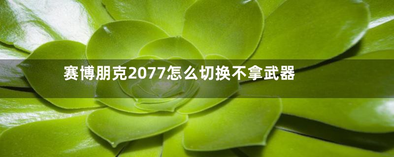 赛博朋克2077怎么切换不拿武器