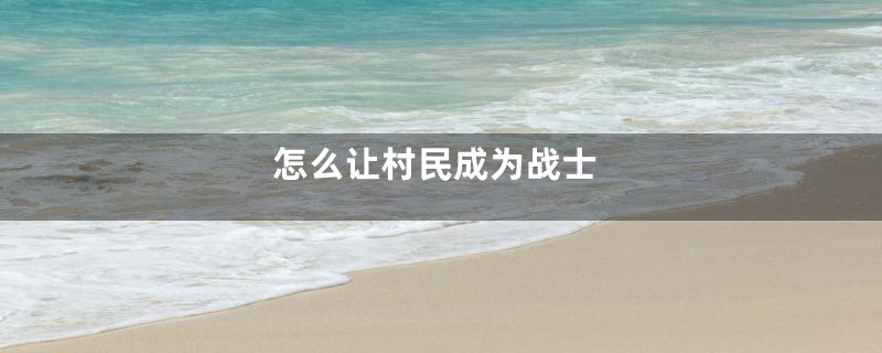 怎么让村民成为战士