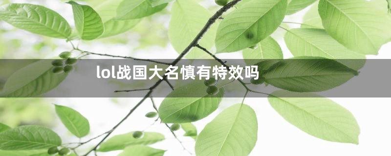 lol战国大名慎有特效吗