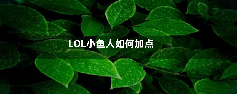 LOL小鱼人如何加点