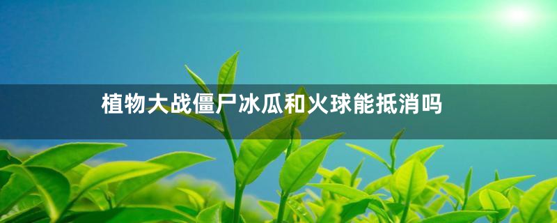 植物大战僵尸冰瓜和火球能抵消吗