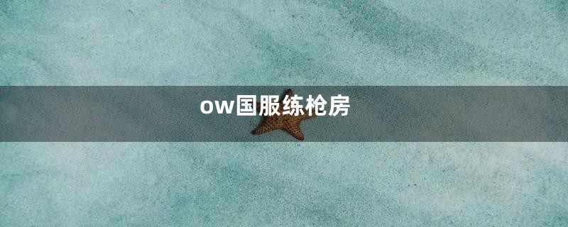 ow国服练枪房