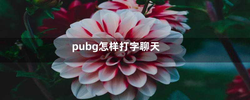 pubg怎样打字聊天