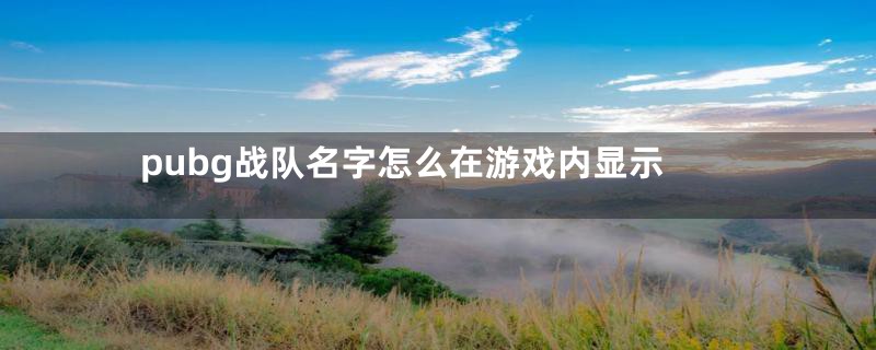 pubg战队名字怎么在游戏内显示