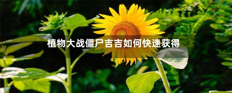 植物大战僵尸吉吉如何快速获得