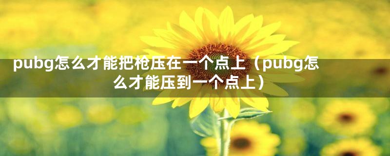 pubg怎么才能把枪压在一个点上（pubg怎么才能压到一个点上）