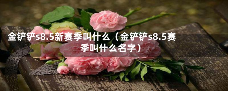 金铲铲s8.5新赛季叫什么（金铲铲s8.5赛季叫什么名字）