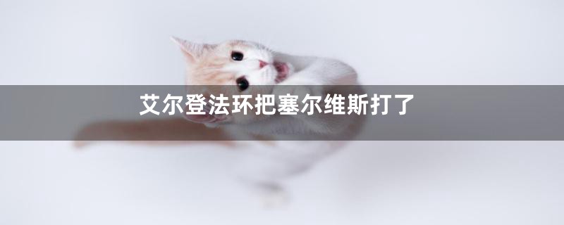 艾尔登法环把塞尔维斯打了