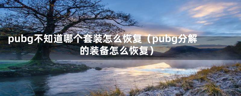 pubg不知道哪个套装怎么恢复（pubg分解的装备怎么恢复）