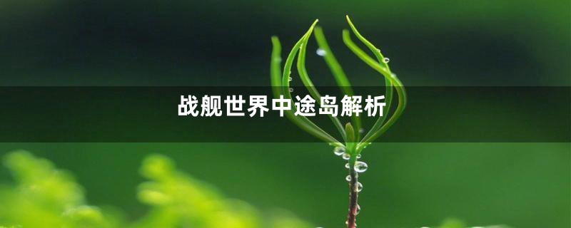 战舰世界中途岛解析