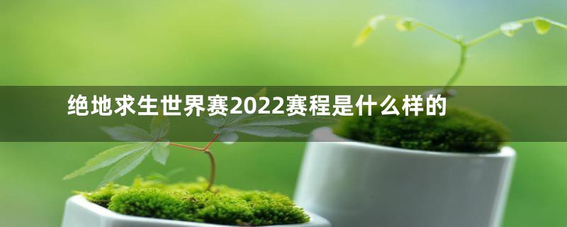 绝地求生世界赛2022赛程是什么样的