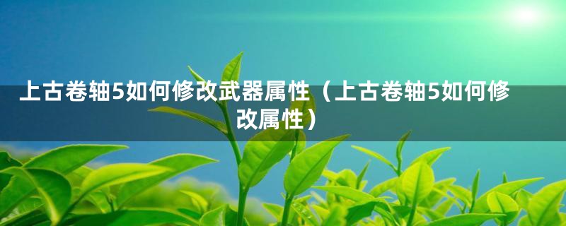 上古卷轴5如何修改武器属性（上古卷轴5如何修改属性）