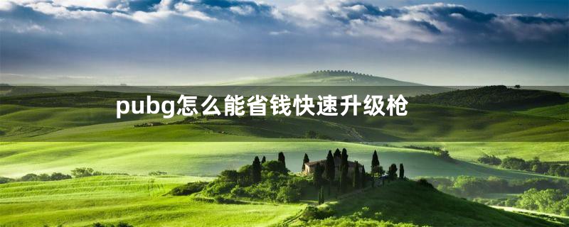 pubg怎么能省钱快速升级枪