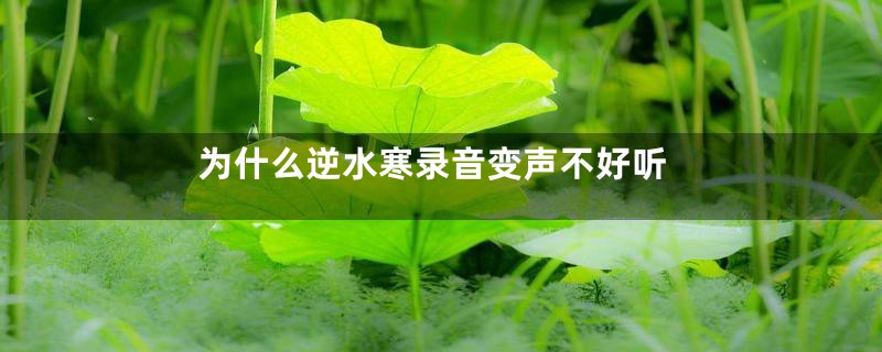 为什么逆水寒录音变声不好听