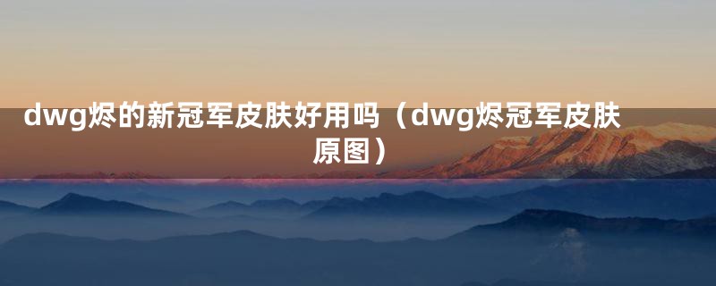 dwg烬的新冠军皮肤好用吗（dwg烬冠军皮肤原图）