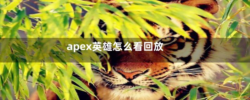 apex英雄怎么看回放