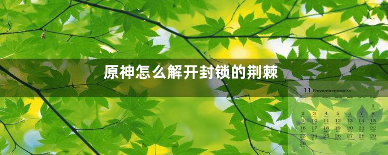 原神怎么解开封锁的荆棘