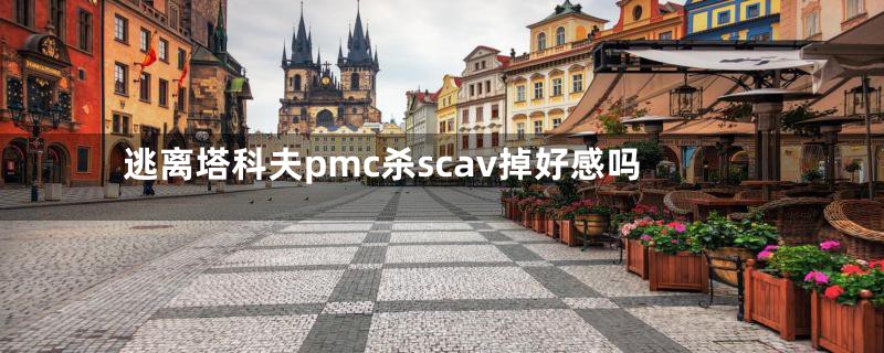 逃离塔科夫pmc杀scav掉好感吗