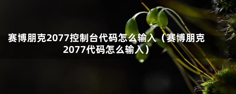 赛博朋克2077控制台代码怎么输入（赛博朋克2077代码怎么输入）