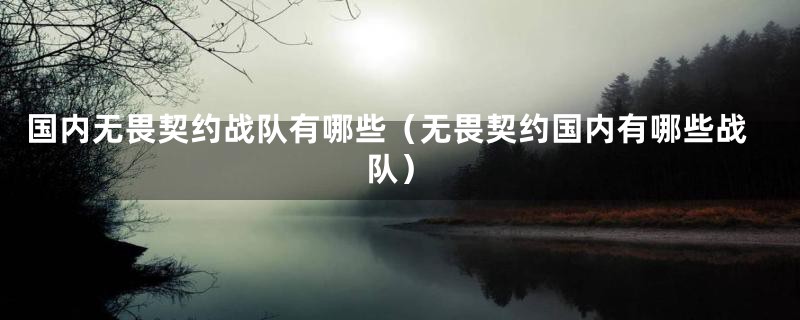 国内无畏契约战队有哪些（无畏契约国内有哪些战队）