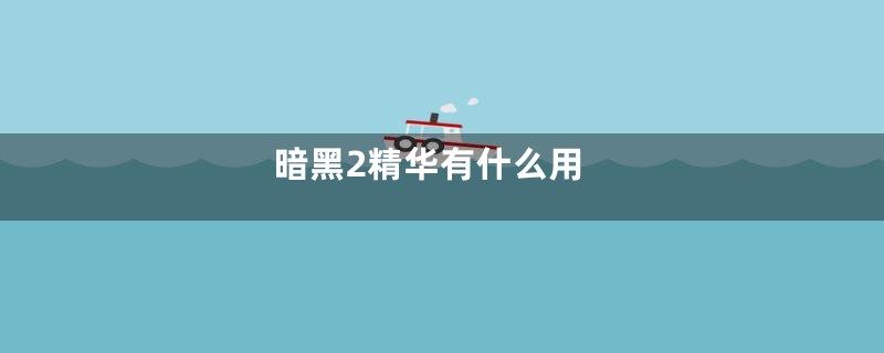 暗黑2精华有什么用