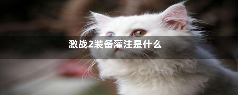 激战2装备灌注是什么