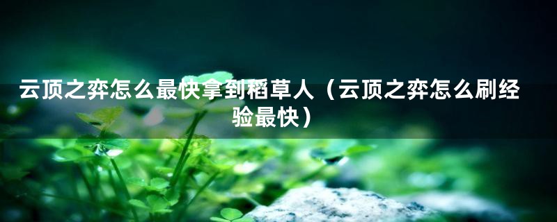 云顶之弈怎么最快拿到稻草人（云顶之弈怎么刷经验最快）