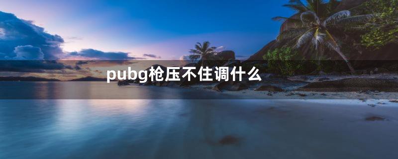 pubg枪压不住调什么