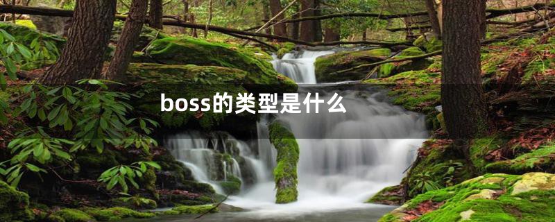 boss的类型是什么