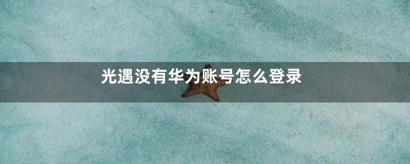 光遇没有华为账号怎么登录