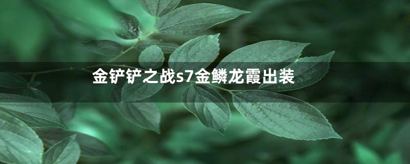 金铲铲之战s7金鳞龙霞出装