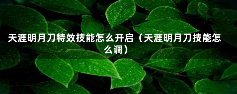 天涯明月刀特效技能怎么开启（天涯明月刀技能怎么调）