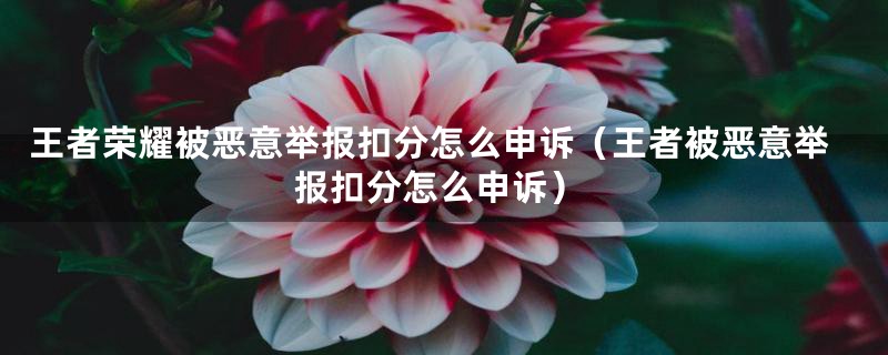 王者荣耀被恶意举报扣分怎么申诉（王者被恶意举报扣分怎么申诉）