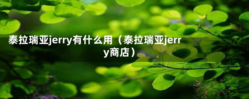 泰拉瑞亚jerry有什么用（泰拉瑞亚jerry商店）