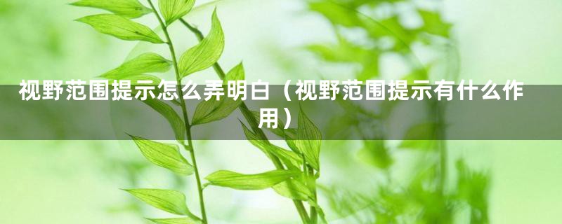 视野范围提示怎么弄明白（视野范围提示有什么作用）