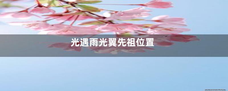 光遇雨光翼先祖位置