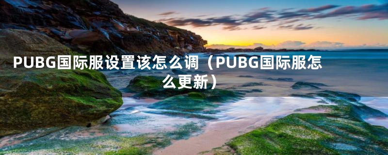 PUBG国际服设置该怎么调（PUBG国际服怎么更新）