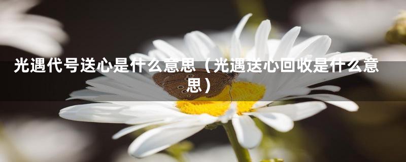 光遇代号送心是什么意思（光遇送心回收是什么意思）