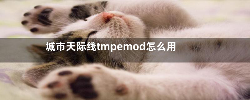 城市天际线tmpemod怎么用