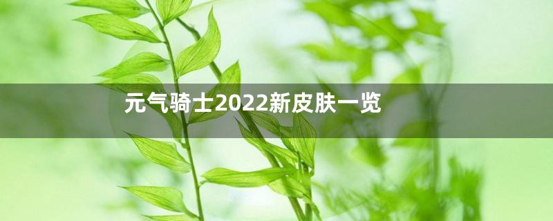 元气骑士2022新皮肤一览