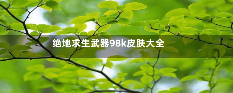 绝地求生武器98k皮肤大全