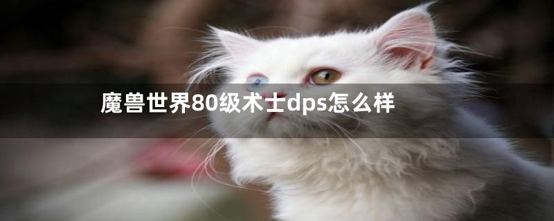 魔兽世界80级术士dps怎么样