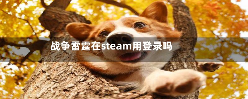 战争雷霆在steam用登录吗