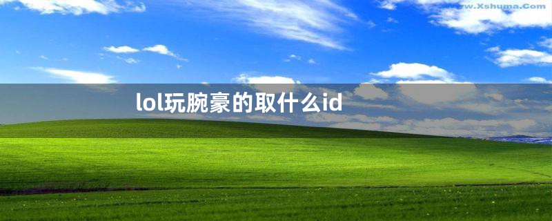 lol玩腕豪的取什么id