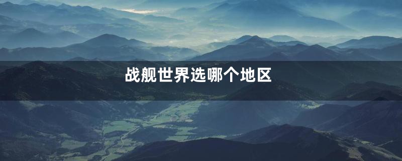 战舰世界选哪个地区