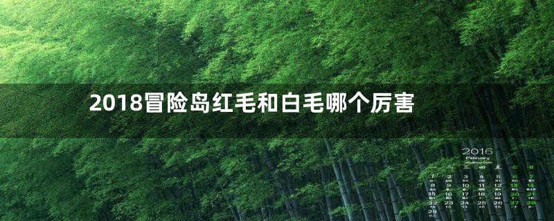 2018冒险岛红毛和白毛哪个厉害