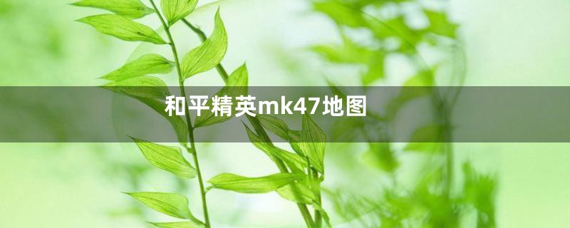 和平精英mk47地图