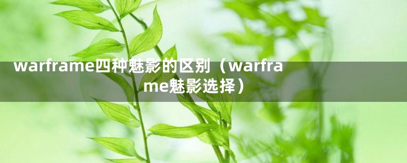 warframe四种魅影的区别（warframe魅影选择）