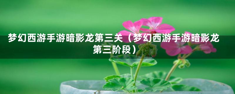 梦幻西游手游暗影龙第三关（梦幻西游手游暗影龙第三阶段）