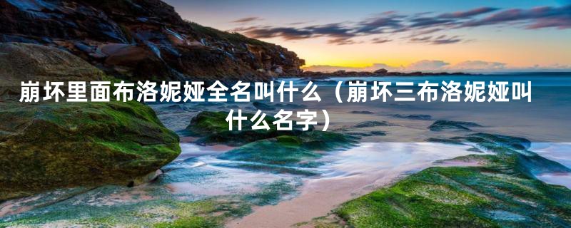 崩坏里面布洛妮娅全名叫什么（崩坏三布洛妮娅叫什么名字）